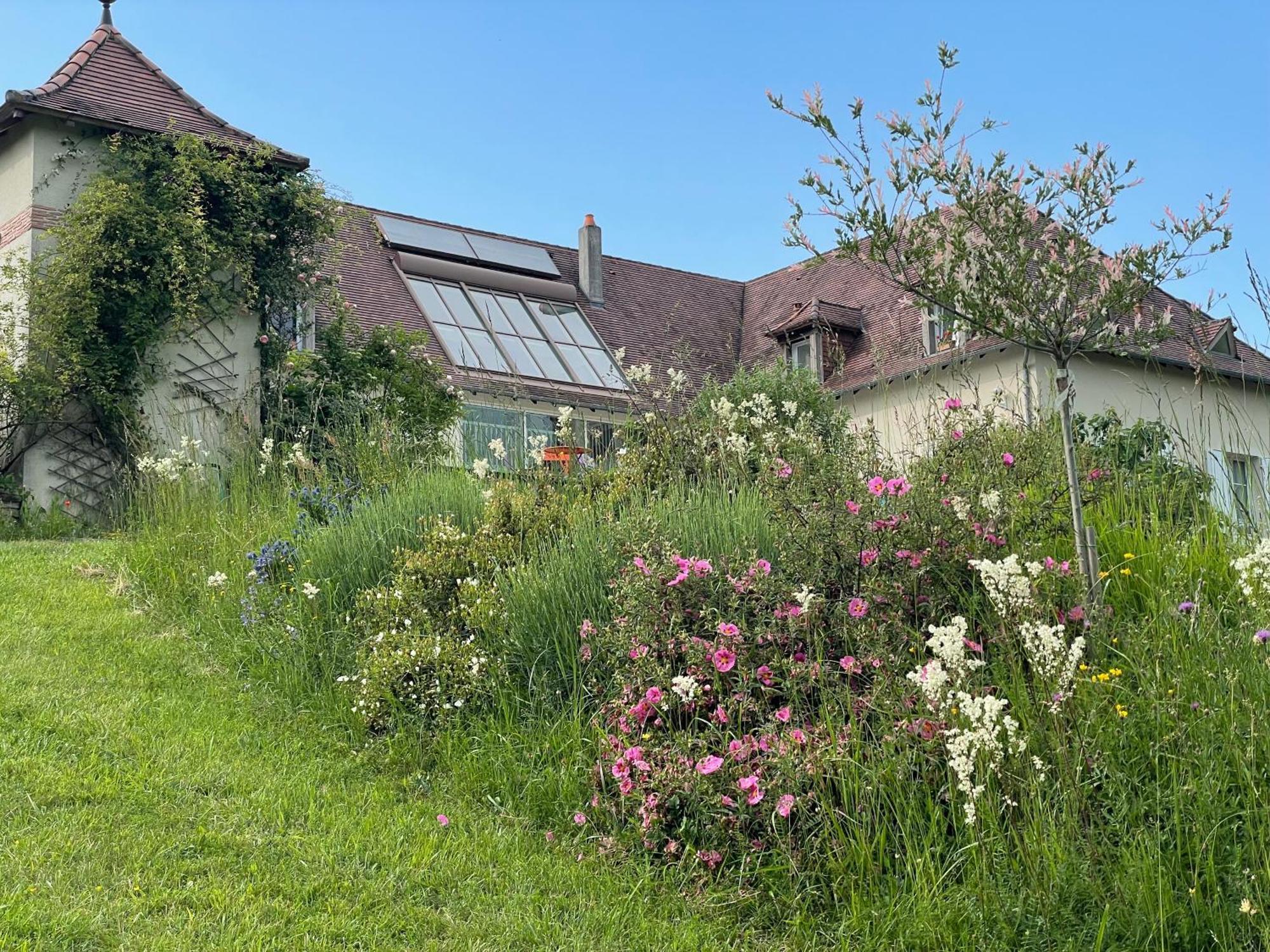 La Maison Du Parc Saint-Raphaël Zewnętrze zdjęcie